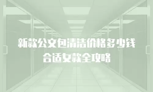 新款公文包清洁价格多少钱合适女款全攻略