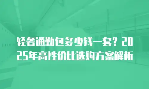 轻奢通勤包多少钱一套？2025年高性价比选购方案解析