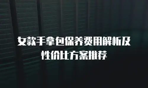 女款手拿包保养费用解析及性价比方案推荐