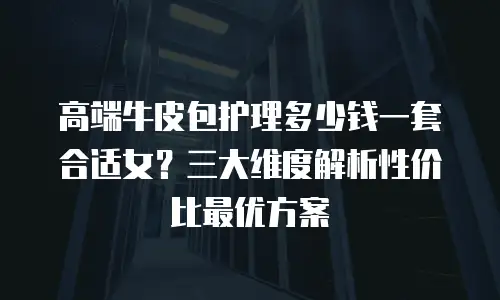 高端牛皮包护理多少钱一套合适女？三大维度解析性价比最优方案