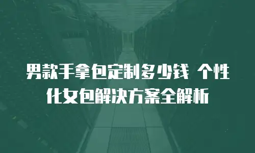 男款手拿包定制多少钱 个性化女包解决方案全解析