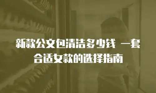 新款公文包清洁多少钱 一套合适女款的选择指南