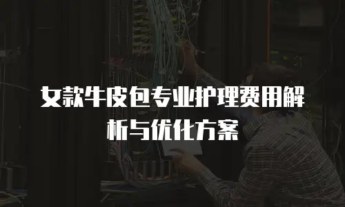 女款牛皮包专业护理费用解析与优化方案