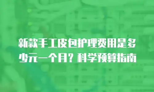 新款手工皮包护理费用是多少元一个月？科学预算指南