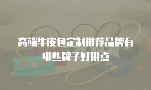 高端牛皮包定制推荐品牌有哪些牌子好用点