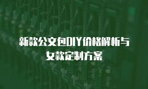 新款公文包DIY价格解析与女款定制方案