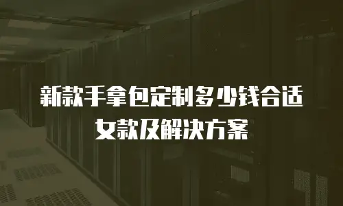 新款手拿包定制多少钱合适女款及解决方案