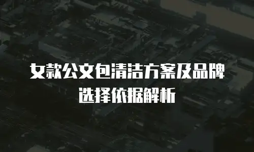 女款公文包清洁方案及品牌选择依据解析