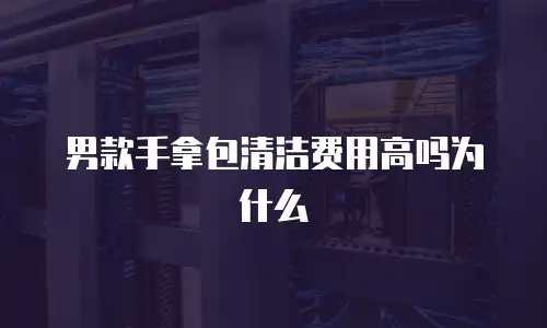 男款手拿包清洁费用高吗为什么