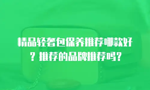 精品轻奢包保养推荐哪款好？推荐的品牌推荐吗？