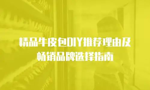 精品牛皮包DIY推荐理由及畅销品牌选择指南