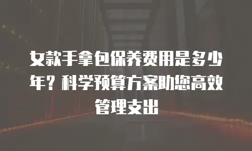 女款手拿包保养费用是多少年？科学预算方案助您高效管理支出