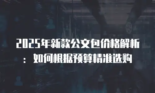 2025年新款公文包价格解析：如何根据预算精准选购