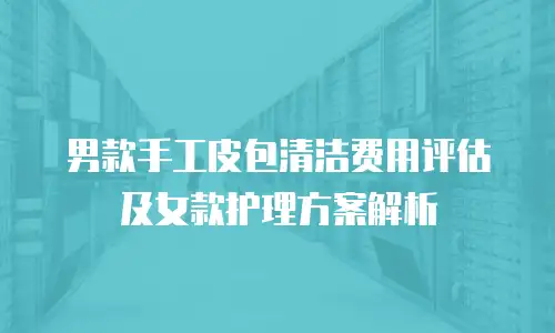男款手工皮包清洁费用评估及女款护理方案解析