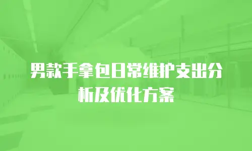 男款手拿包日常维护支出分析及优化方案