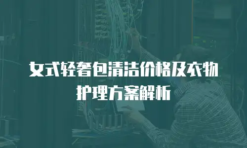 女式轻奢包清洁价格及衣物护理方案解析