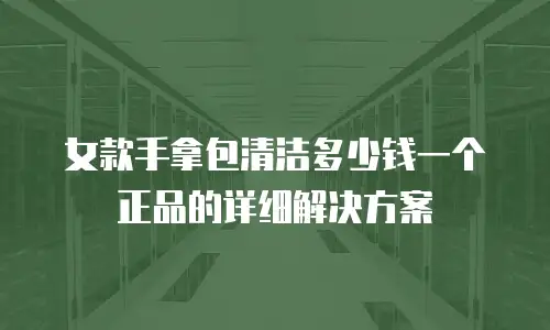 女款手拿包清洁多少钱一个正品的详细解决方案