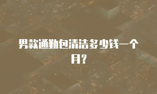 男款通勤包清洁多少钱一个月？