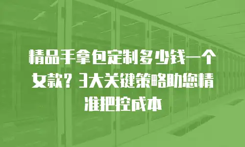 精品手拿包定制多少钱一个女款？3大关键策略助您精准把控成本