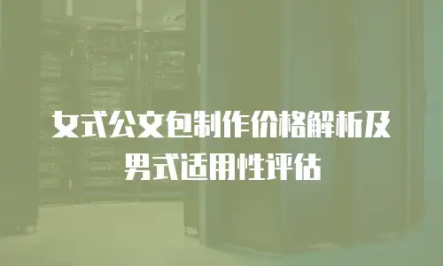 女式公文包制作价格解析及男式适用性评估