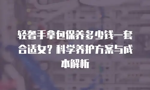 轻奢手拿包保养多少钱一套合适女？科学养护方案与成本解析