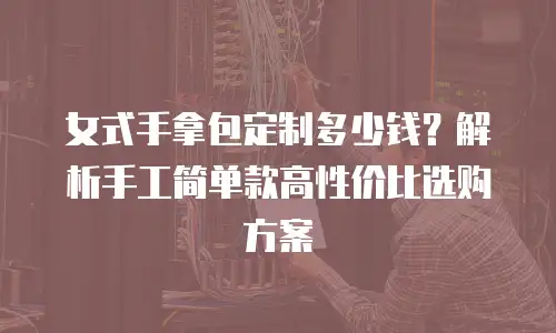 女式手拿包定制多少钱？解析手工简单款高性价比选购方案