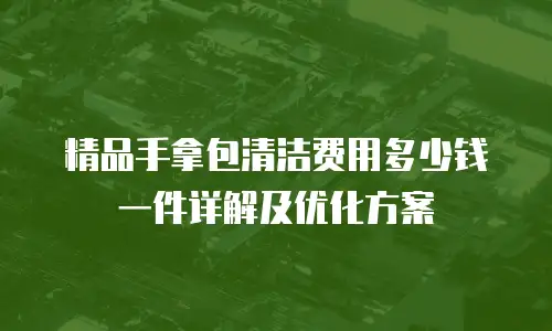 精品手拿包清洁费用多少钱一件详解及优化方案