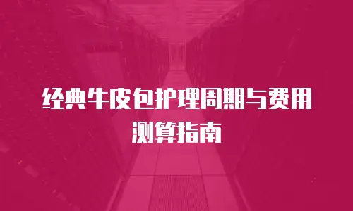 经典牛皮包护理周期与费用测算指南