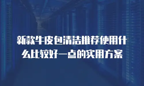 新款牛皮包清洁推荐使用什么比较好一点的实用方案