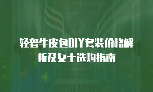 轻奢牛皮包DIY套装价格解析及女士选购指南