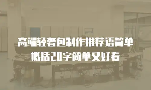 高端轻奢包制作推荐语简单概括20字简单又好看