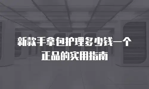 新款手拿包护理多少钱一个正品的实用指南