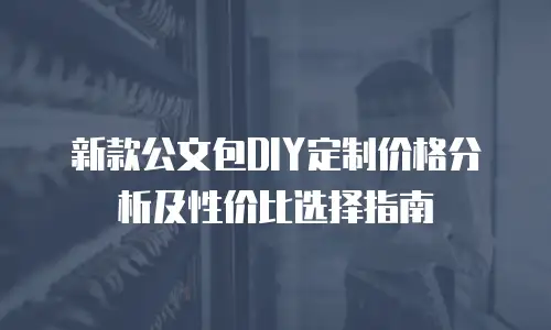 新款公文包DIY定制价格分析及性价比选择指南