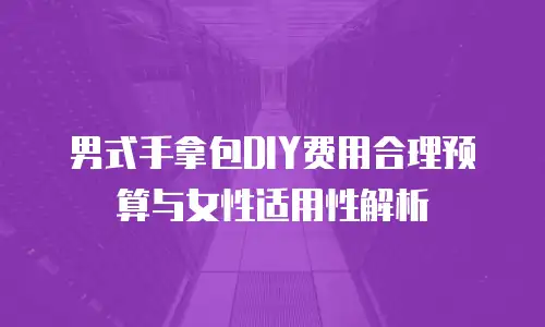 男式手拿包DIY费用合理预算与女性适用性解析