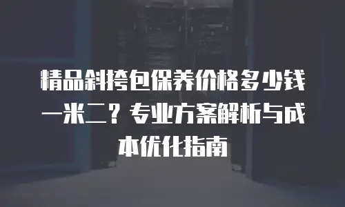 精品斜挎包保养价格多少钱一米二？专业方案解析与成本优化指南