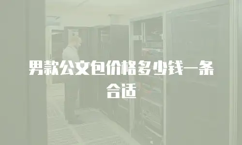 男款公文包价格多少钱一条合适