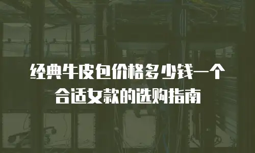 经典牛皮包价格多少钱一个合适女款的选购指南