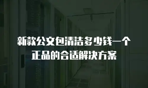 新款公文包清洁多少钱一个正品的合适解决方案