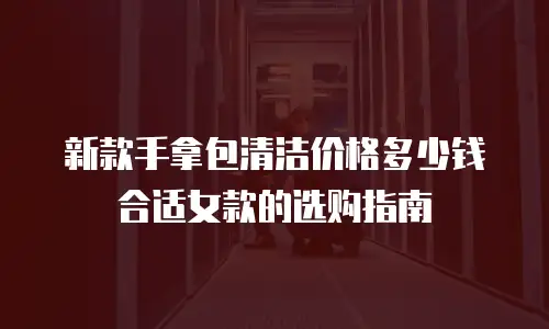 新款手拿包清洁价格多少钱合适女款的选购指南