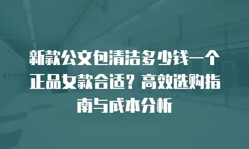 新款公文包清洁多少钱一个正品女款合适？高效选购指南与成本分析