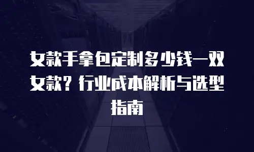 女款手拿包定制多少钱一双女款？行业成本解析与选型指南
