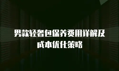男款轻奢包保养费用详解及成本优化策略