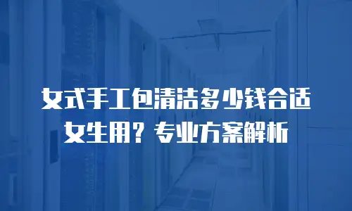 女式手工包清洁多少钱合适女生用？专业方案解析