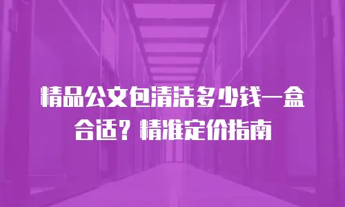 精品公文包清洁多少钱一盒合适？精准定价指南