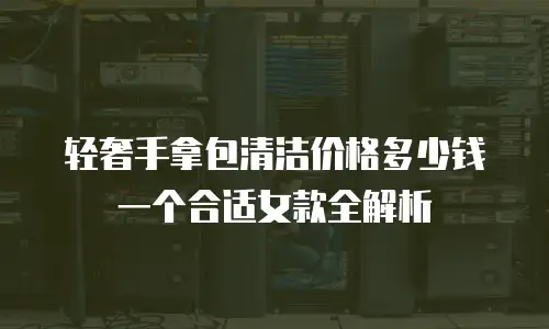轻奢手拿包清洁价格多少钱一个合适女款全解析