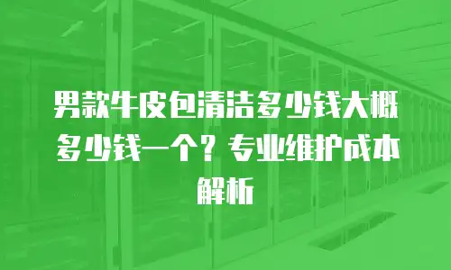 男款牛皮包清洁多少钱大概多少钱一个？专业维护成本解析