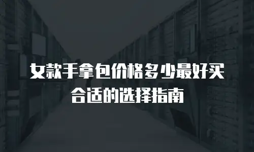 女款手拿包价格多少最好买合适的选择指南
