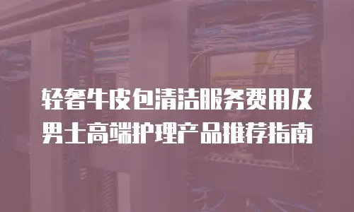 轻奢牛皮包清洁服务费用及男士高端护理产品推荐指南