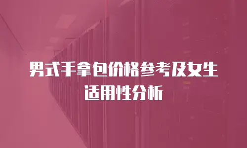 男式手拿包价格参考及女生适用性分析