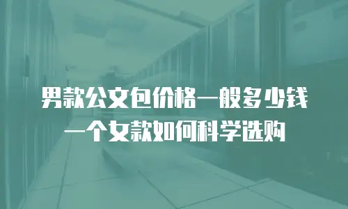 男款公文包价格一般多少钱一个女款如何科学选购